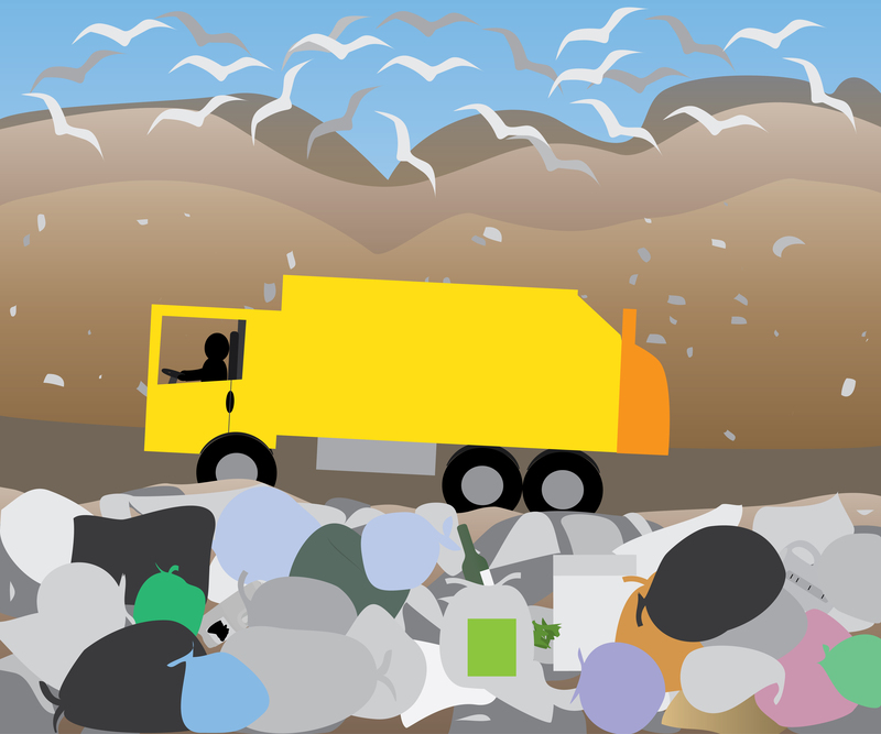 Transforming Packaging and Cardboard Disposal into Recycling Opportunities